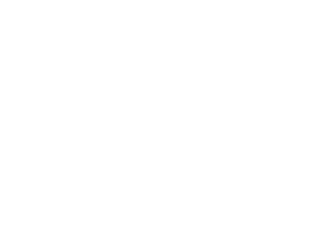 Borio | Concesionario oficial New Holland